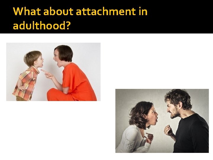 What about attachment in adulthood? 