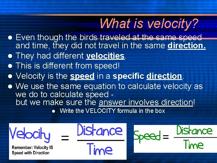 What is velocity? l l l Even though the birds traveled at the same