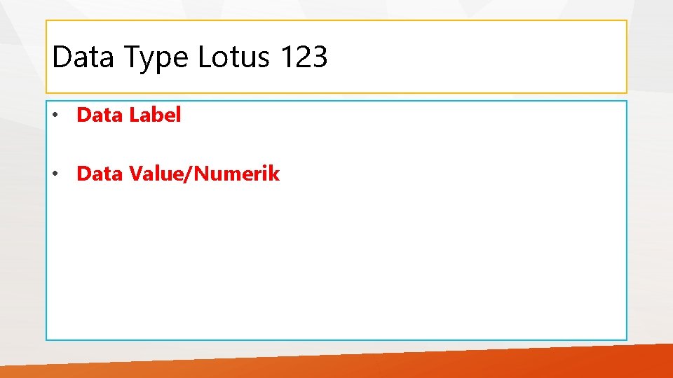 Data Type Lotus 123 • Data Label • Data Value/Numerik 