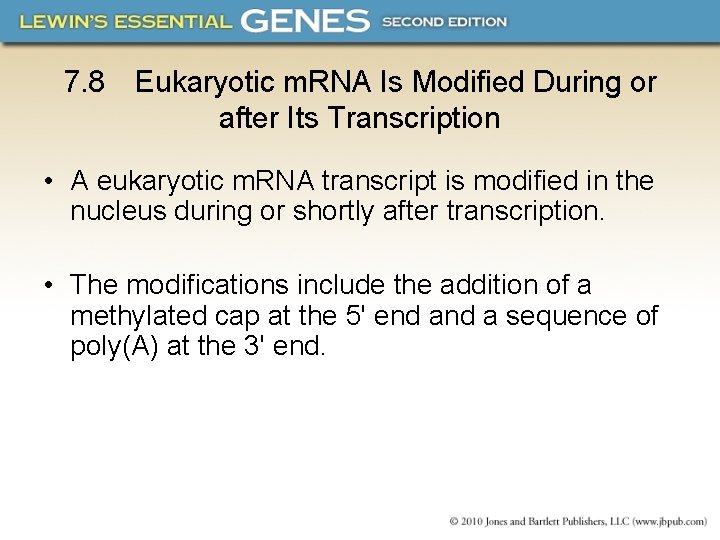 7. 8 Eukaryotic m. RNA Is Modified During or after Its Transcription • A