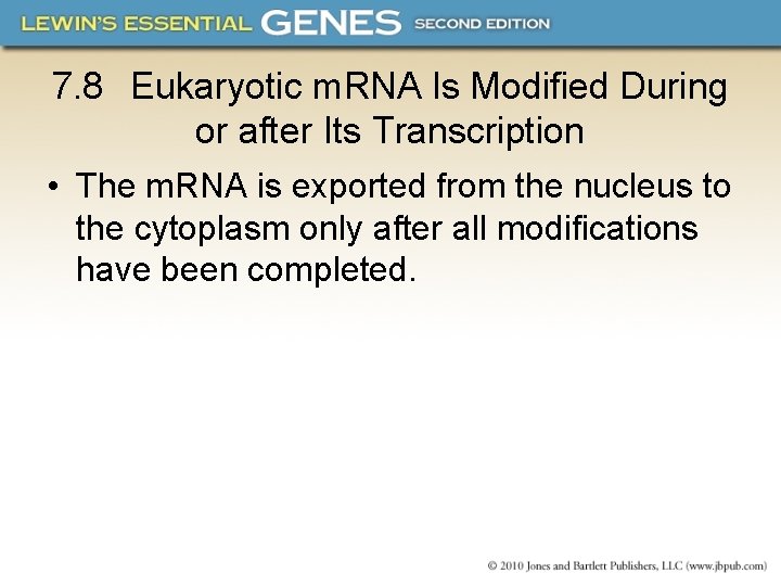 7. 8 Eukaryotic m. RNA Is Modified During or after Its Transcription • The