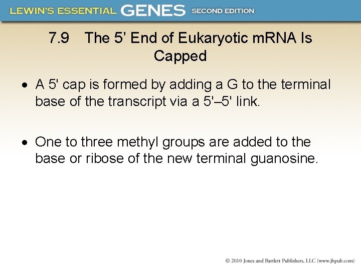 7. 9 The 5’ End of Eukaryotic m. RNA Is Capped A 5' cap