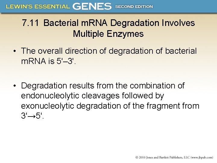 7. 11 Bacterial m. RNA Degradation Involves Multiple Enzymes • The overall direction of