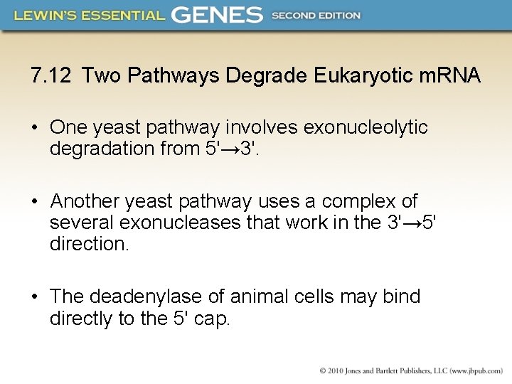 7. 12 Two Pathways Degrade Eukaryotic m. RNA • One yeast pathway involves exonucleolytic