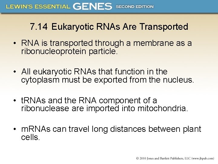 7. 14 Eukaryotic RNAs Are Transported • RNA is transported through a membrane as