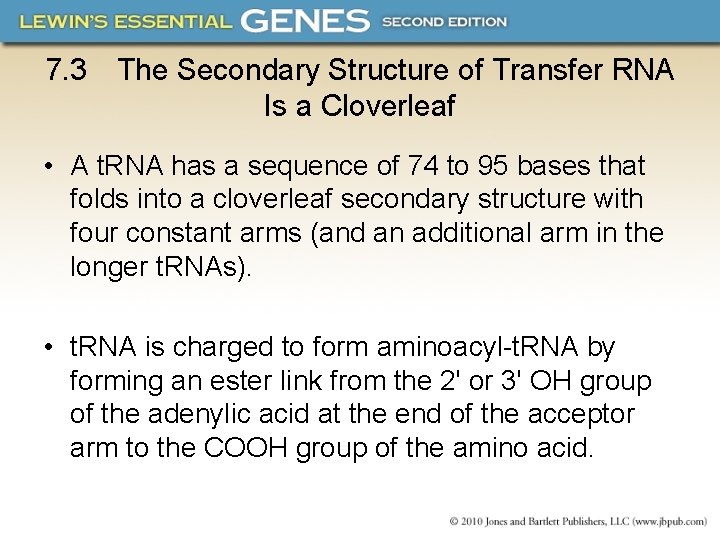 7. 3 The Secondary Structure of Transfer RNA Is a Cloverleaf • A t.