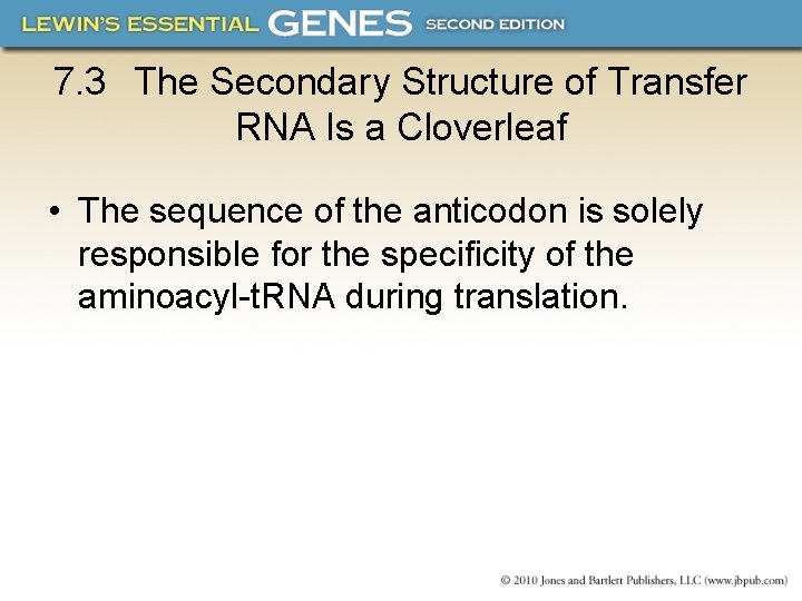 7. 3 The Secondary Structure of Transfer RNA Is a Cloverleaf • The sequence