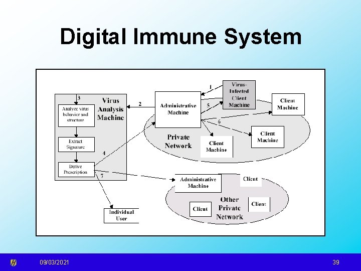 Digital Immune System 09/03/2021 39 