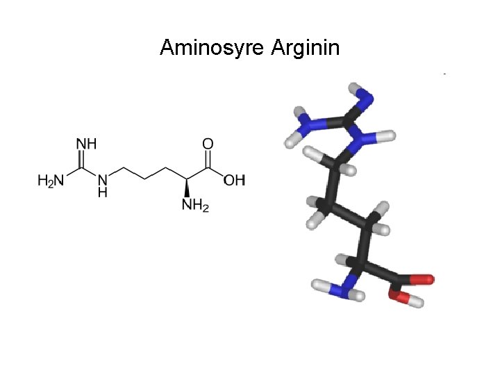 Aminosyre Arginin 
