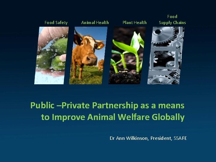 Food Safety Animal Health Plant Health Food Supply Chains Public –Private Partnership as a