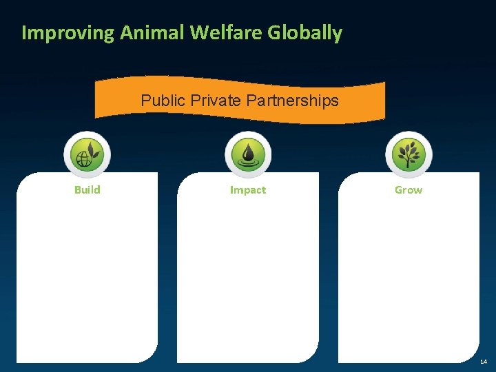 Improving Animal Welfare Globally Public Private Partnerships Build Impact Support of the ISO Technical
