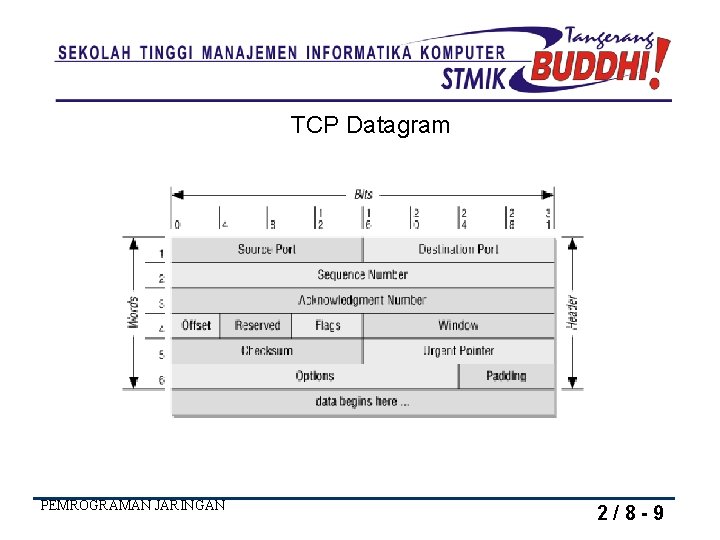 TCP Datagram PEMROGRAMAN JARINGAN 2/8 -9 