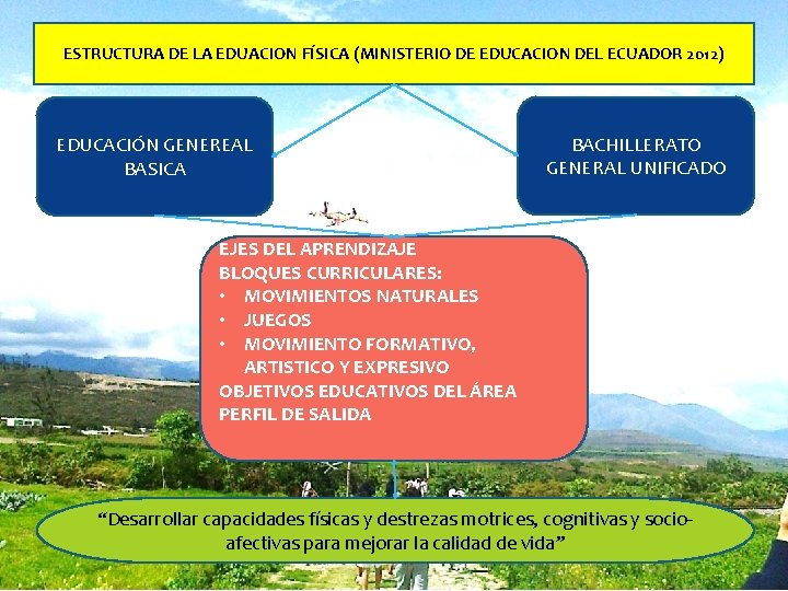 ESTRUCTURA DE LA EDUACION FÍSICA (MINISTERIO DE EDUCACION DEL ECUADOR 2012) EDUCACIÓN GENEREAL BASICA