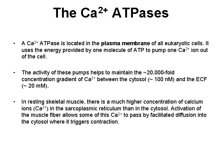 The 2+ Ca ATPases • A Ca 2+ ATPase is located in the plasma