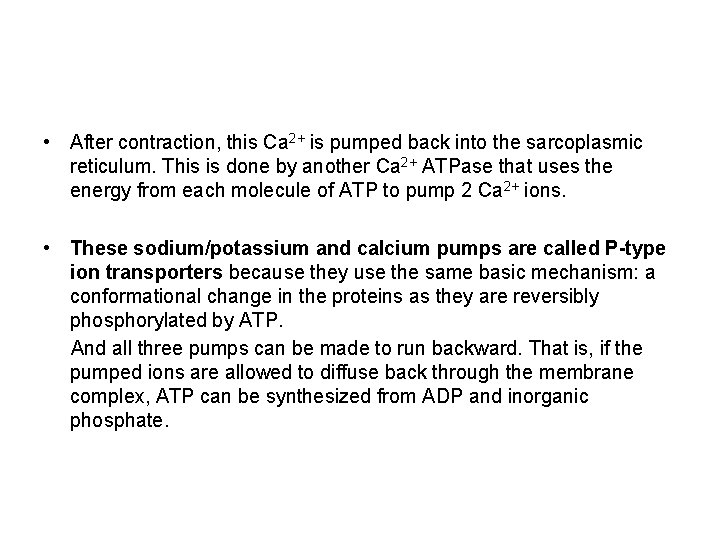  • After contraction, this Ca 2+ is pumped back into the sarcoplasmic reticulum.