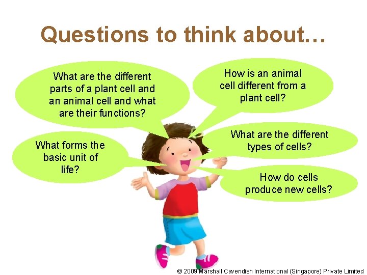 Questions to think about… What are the different parts of a plant cell and