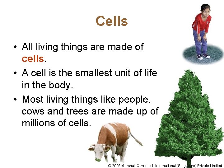 Cells • All living things are made of cells. • A cell is the