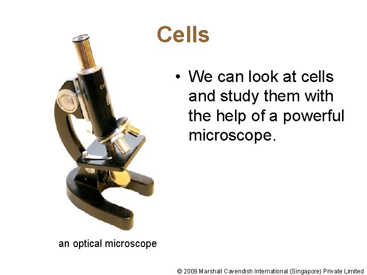 Cells • We can look at cells and study them with the help of