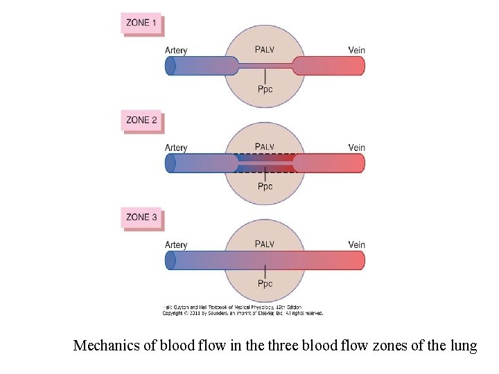 Mechanics of blood flow in the three blood flow zones of the lung 