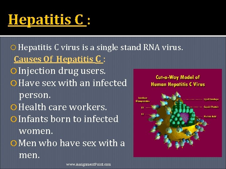 Hepatitis C : Hepatitis C virus is a single stand RNA virus. Causes Of