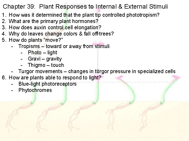 Chapter 39: Plant Responses to Internal & External Stimuli 1. 2. 3. 4. 5.