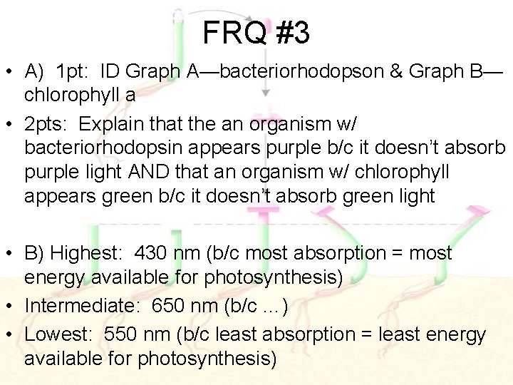 FRQ #3 • A) 1 pt: ID Graph A—bacteriorhodopson & Graph B— chlorophyll a