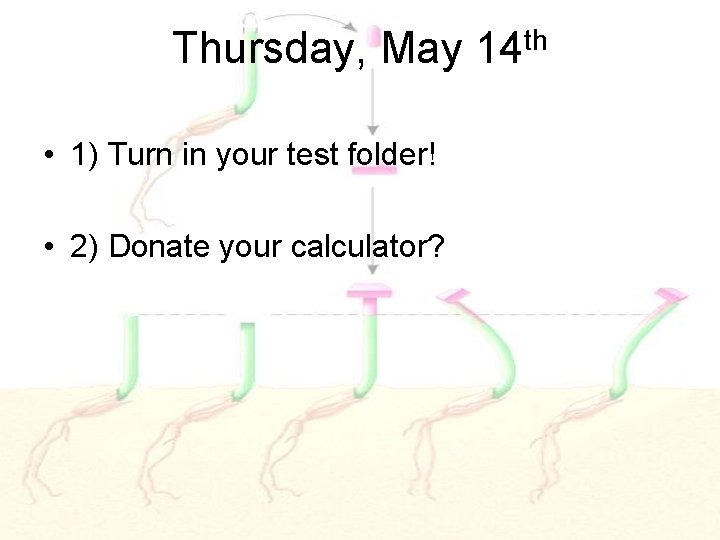 Thursday, May 14 th • 1) Turn in your test folder! • 2) Donate