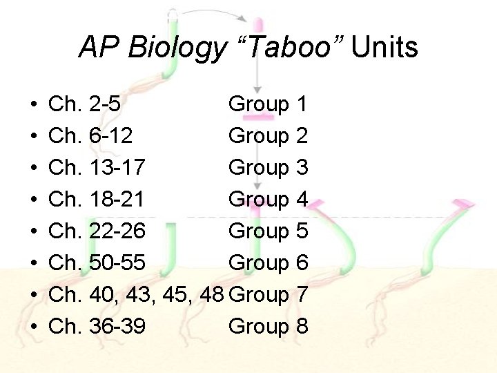 AP Biology “Taboo” Units • • Ch. 2 -5 Group 1 Ch. 6 -12