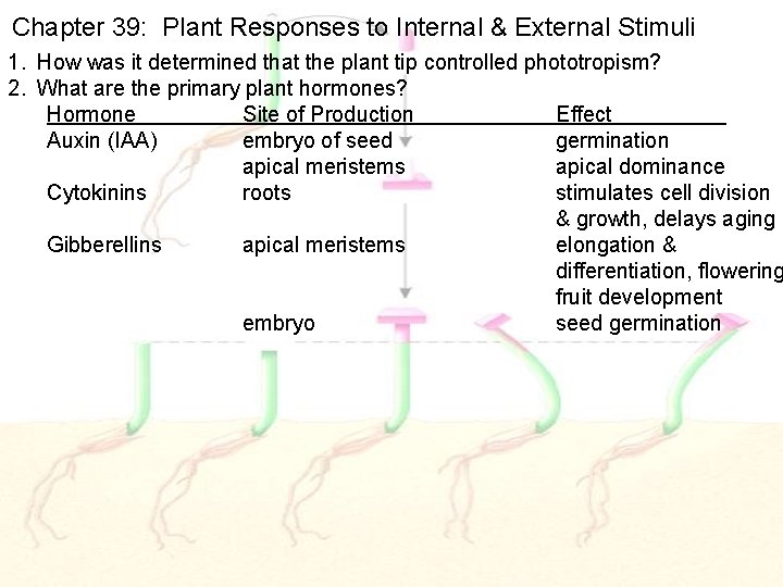 Chapter 39: Plant Responses to Internal & External Stimuli 1. How was it determined