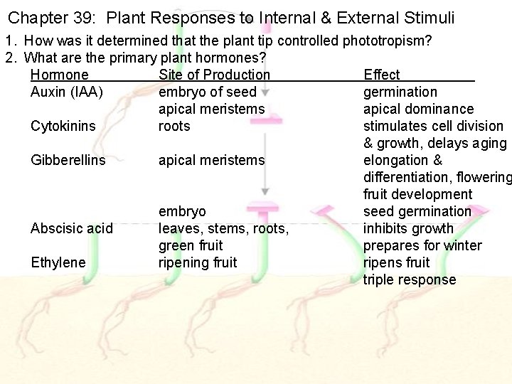 Chapter 39: Plant Responses to Internal & External Stimuli 1. How was it determined