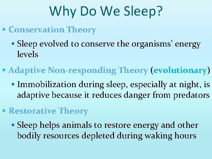 Why Do We Sleep? § Conservation Theory § Sleep evolved to conserve the organisms’