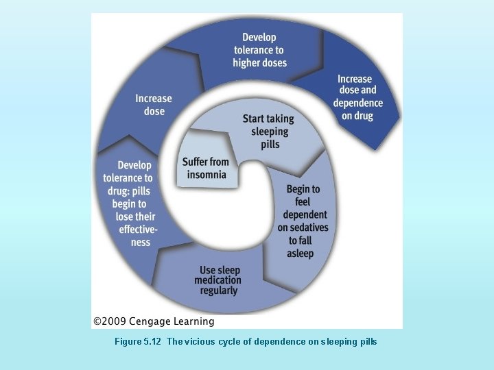 Figure 5. 12 The vicious cycle of dependence on sleeping pills 