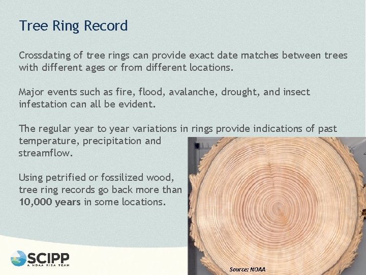 Tree Ring Record Crossdating of tree rings can provide exact date matches between trees