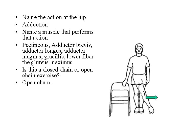 • Name the action at the hip • Adduction • Name a muscle • Name the action at the hip • Adduction • Name a muscle