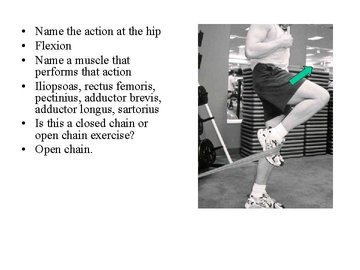 • Name the action at the hip • Flexion • Name a muscle • Name the action at the hip • Flexion • Name a muscle
