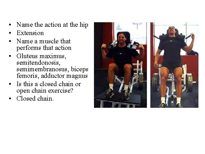 • Name the action at the hip • Extension • Name a muscle • Name the action at the hip • Extension • Name a muscle
