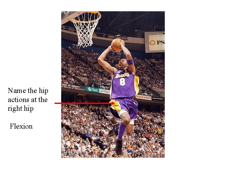 Name the hip actions at the right hip Flexion Name the hip actions at the right hip Flexion