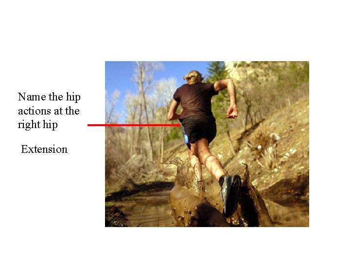 Name the hip actions at the right hip Extension Name the hip actions at the right hip Extension