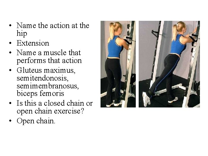 • Name the action at the hip • Extension • Name a muscle • Name the action at the hip • Extension • Name a muscle