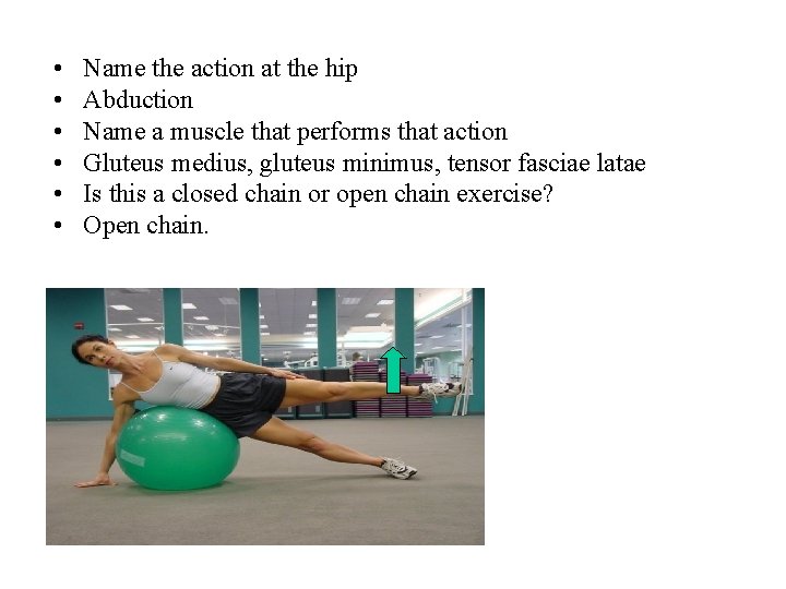 • • • Name the action at the hip Abduction Name a muscle • • • Name the action at the hip Abduction Name a muscle