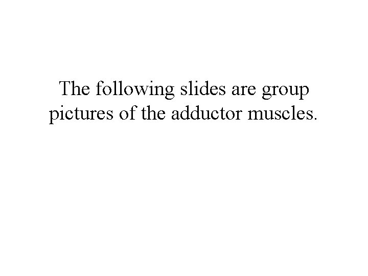 The following slides are group pictures of the adductor muscles. The following slides are group pictures of the adductor muscles.
