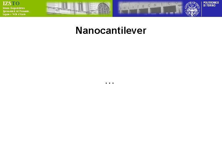 IZSTO Istituto Zooprofilattico Sperimentale del Piemonte, Liguria e Valle d’Aosta Nanocantilever … 
