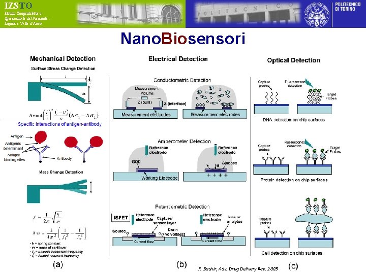 IZSTO Istituto Zooprofilattico Sperimentale del Piemonte, Liguria e Valle d’Aosta Nano. Biosensori R. Bashir,