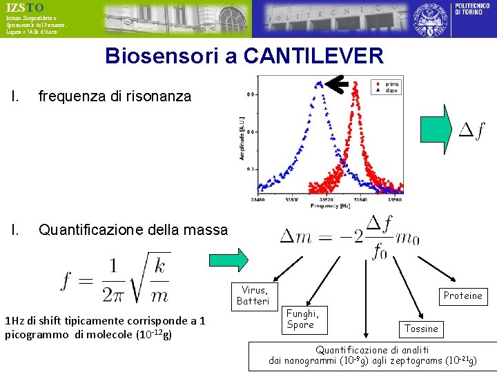 IZSTO Istituto Zooprofilattico Sperimentale del Piemonte, Liguria e Valle d’Aosta Biosensori a CANTILEVER I.