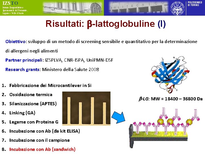 IZSTO Istituto Zooprofilattico Sperimentale del Piemonte, Liguria e Valle d’Aosta Risultati: b-lattoglobuline (I) Obiettivo: