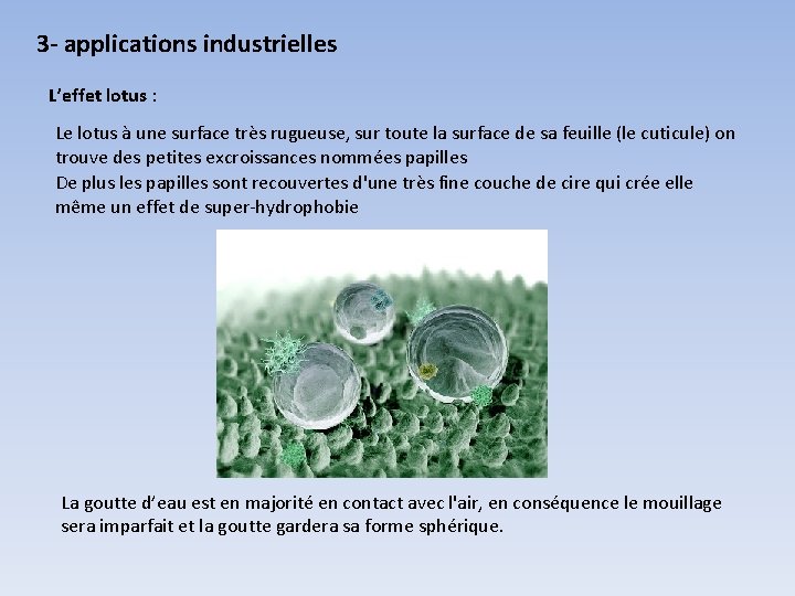 3 - applications industrielles L’effet lotus : Le lotus à une surface très rugueuse, 3 - applications industrielles L’effet lotus : Le lotus à une surface très rugueuse,