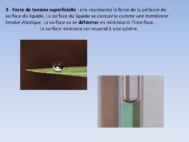 3 - Force de tension superficielle : elle représente la force de la pellicule 3 - Force de tension superficielle : elle représente la force de la pellicule