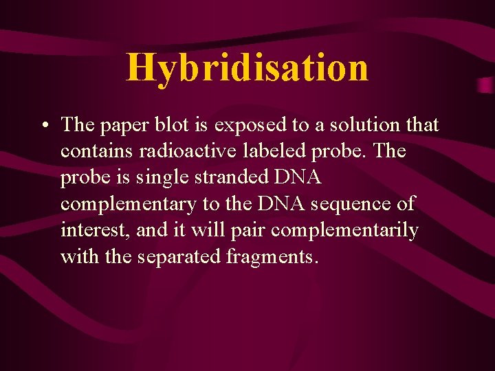 Hybridisation • The paper blot is exposed to a solution that contains radioactive labeled