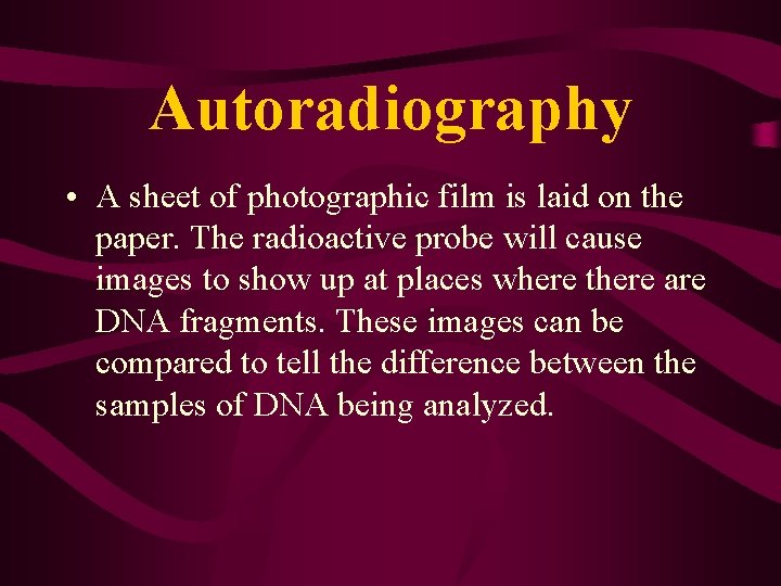 Autoradiography • A sheet of photographic film is laid on the paper. The radioactive