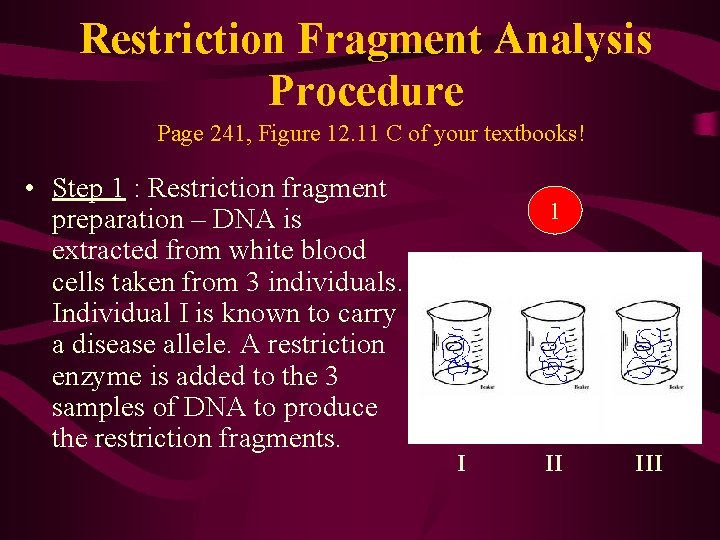 Restriction Fragment Analysis Procedure Page 241, Figure 12. 11 C of your textbooks! •